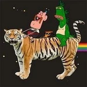 Galactic Pals Rescue Adventure