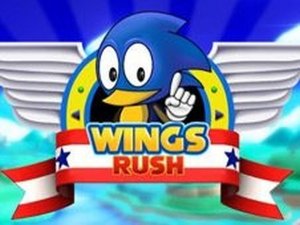 Wings Rush Adventure Runner